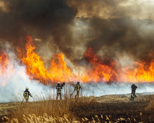 SmartSource® Awarded Contract by the United States Department of Agriculture, Forest Service, Chief Information Office, Fire Information Technology